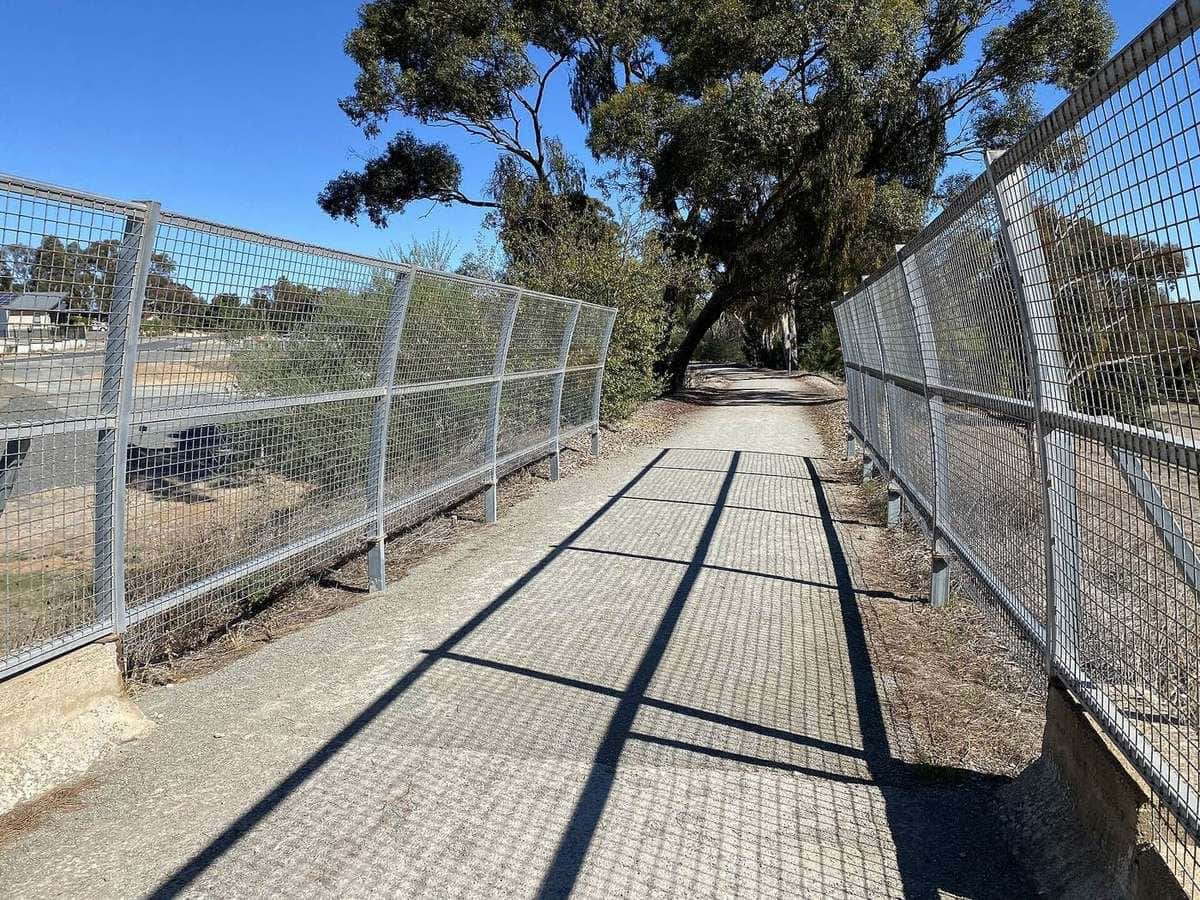 A straight gravel trail running between trees and vineyards in the Clare Valley