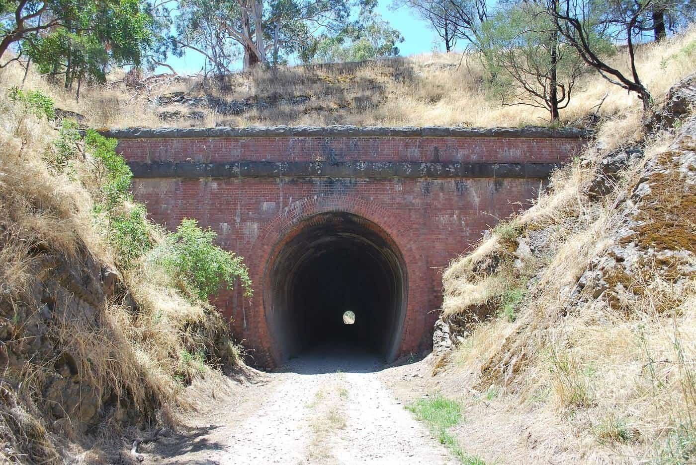 The brick arch portal of the Cheviot railway tunnel framed by trees and grass