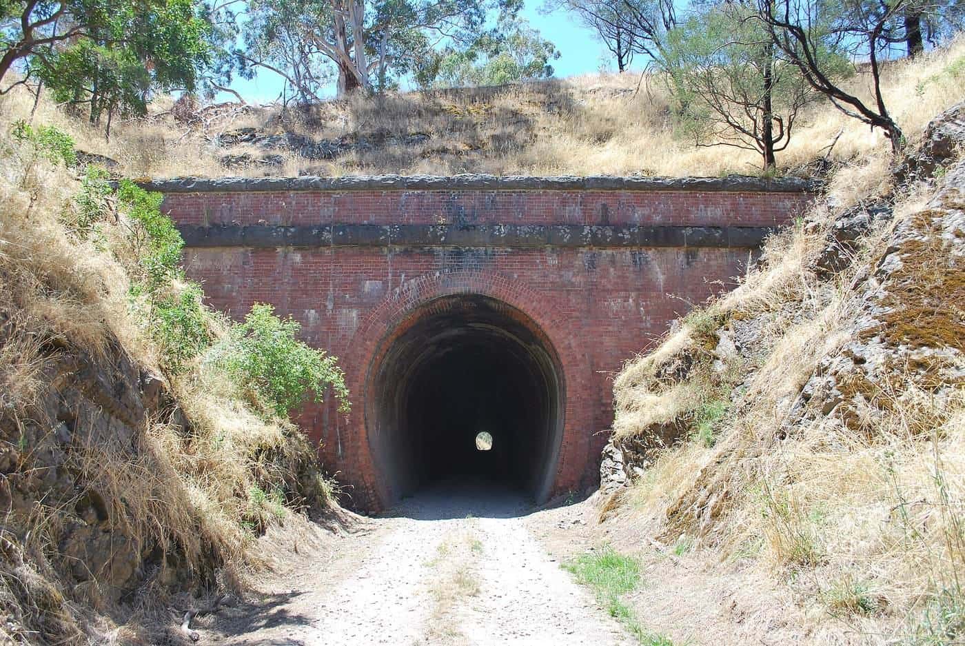 The brick portal of the historic Cheviot railway tunnel surrounded by trees