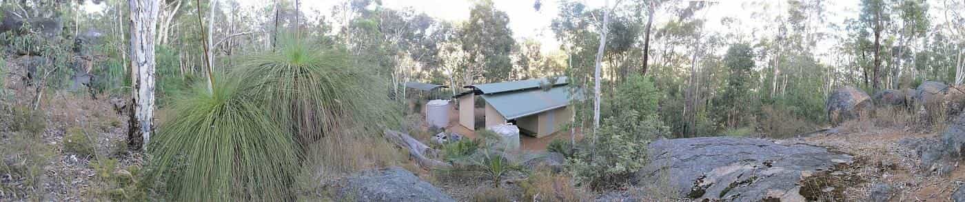 A panorama of a Munda Biddi Trail campsite with a shelter among tall forest trees