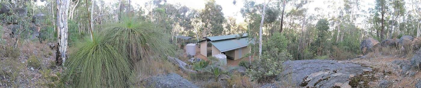 A panorama of a Munda Biddi Trail campsite with a shelter among tall forest trees