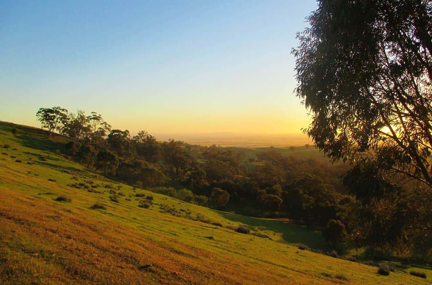 Rolling hills and ranges at sunrise in South Australia's mid-north
