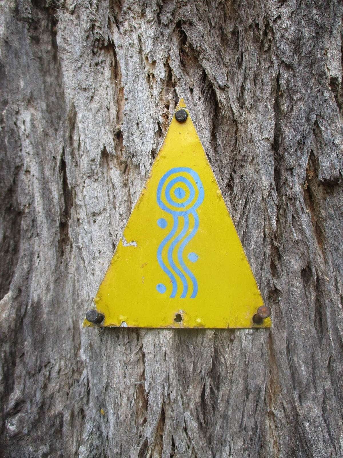 A Munda Biddi Trail marker sign on a post in Lane Poole Reserve